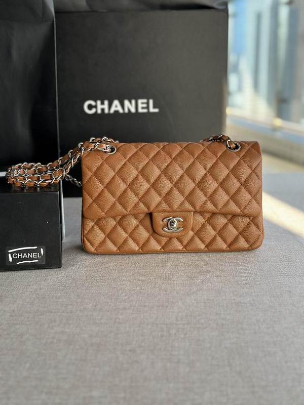 Chanel Handbags 313